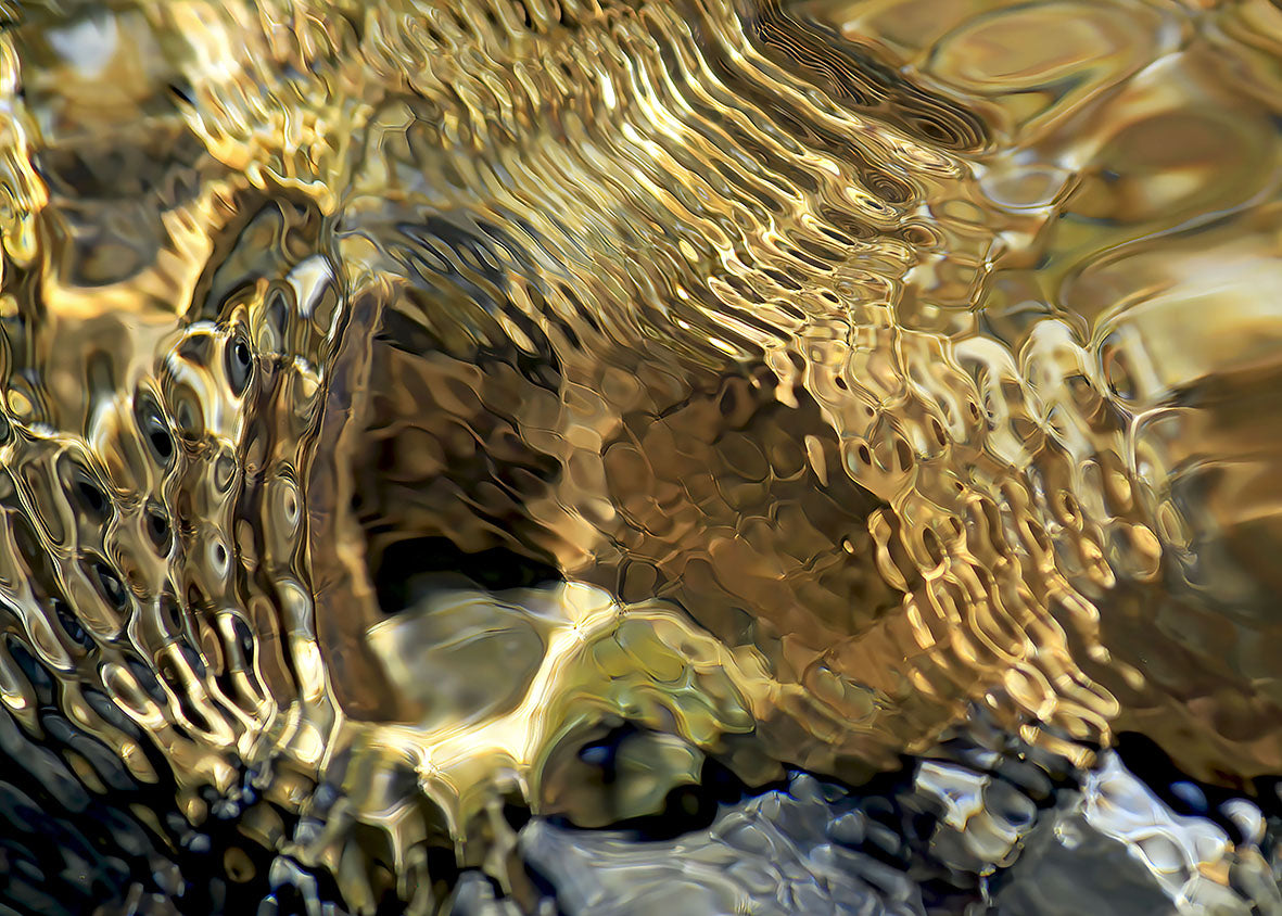 Le onde F34
