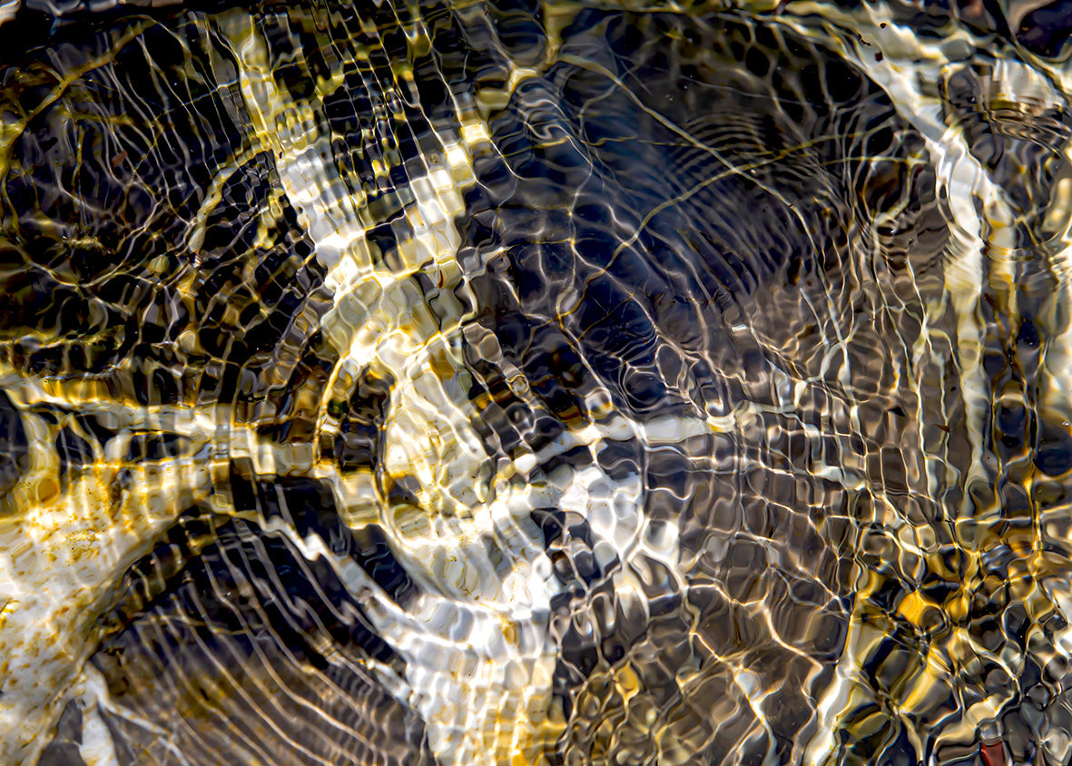 Le onde F56